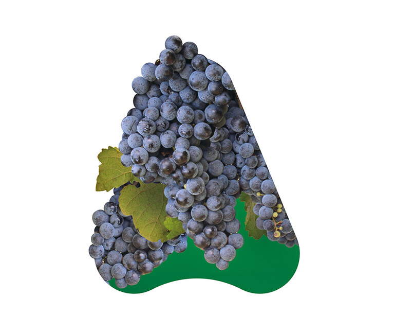 Linea Protezione Vite 2025
